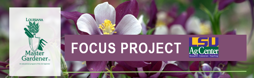 Focus Project – LSU AgCenter Pollinator Report Statewide (2022-2024)